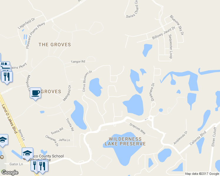 map of restaurants, bars, coffee shops, grocery stores, and more near 7754 Stoneleigh Drive in Pasco County