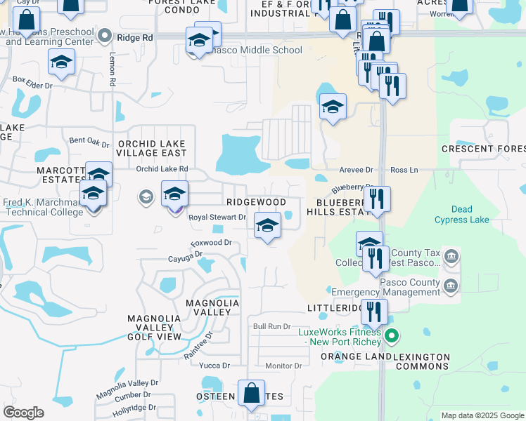 map of restaurants, bars, coffee shops, grocery stores, and more near 7824 Glascow Drive in New Port Richey