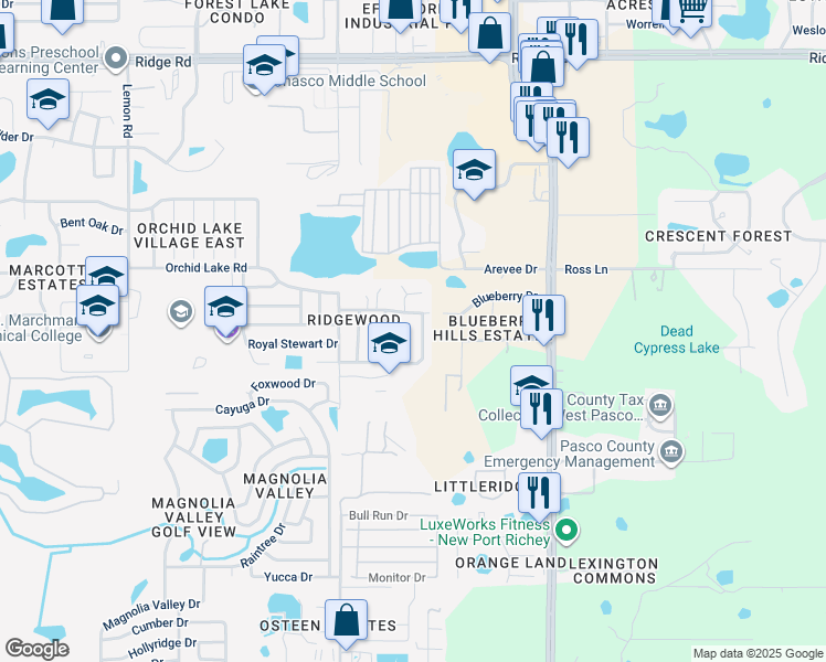 map of restaurants, bars, coffee shops, grocery stores, and more near 8133 Cameron Cay Court in New Port Richey