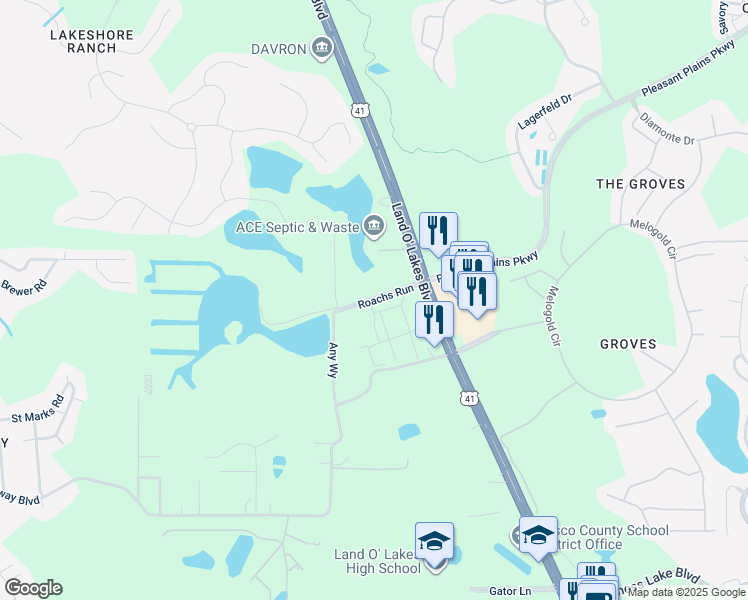 map of restaurants, bars, coffee shops, grocery stores, and more near 21808 Pleasant Plains Parkway in Land O' Lakes