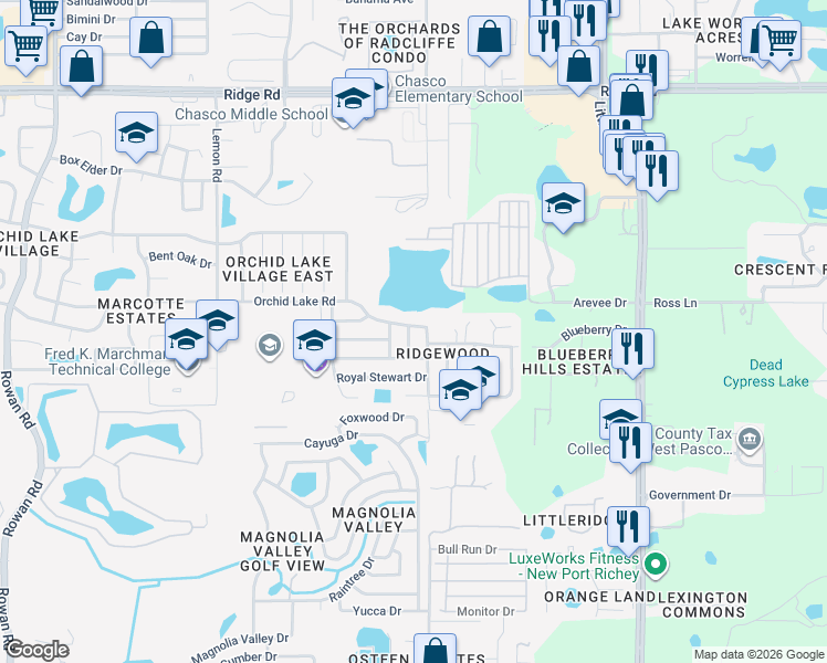 map of restaurants, bars, coffee shops, grocery stores, and more near 7907 Osteen Road in New Port Richey