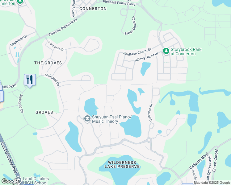 map of restaurants, bars, coffee shops, grocery stores, and more near 21339 Morning Mist Way in Land O' Lakes