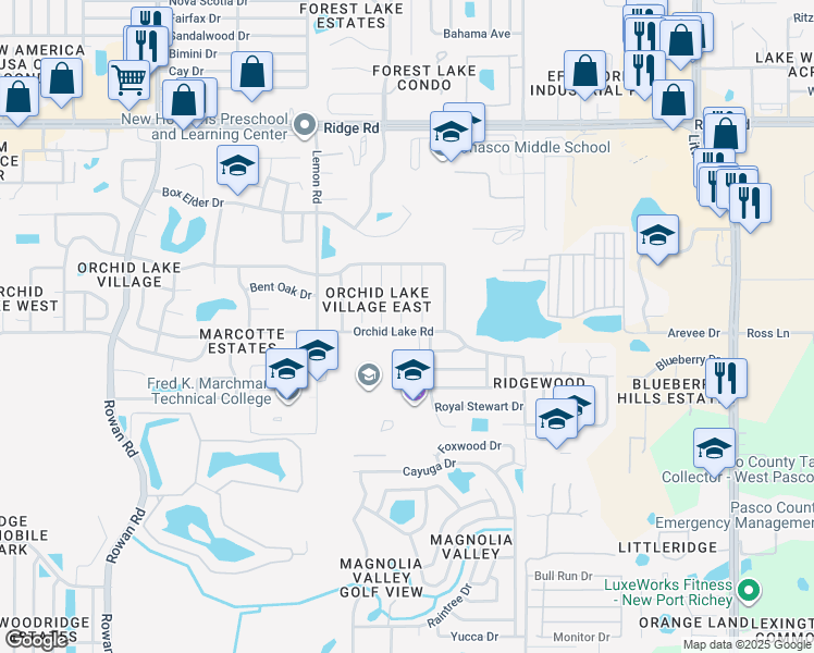 map of restaurants, bars, coffee shops, grocery stores, and more near 8004 Buttonball Lane in Port Richey