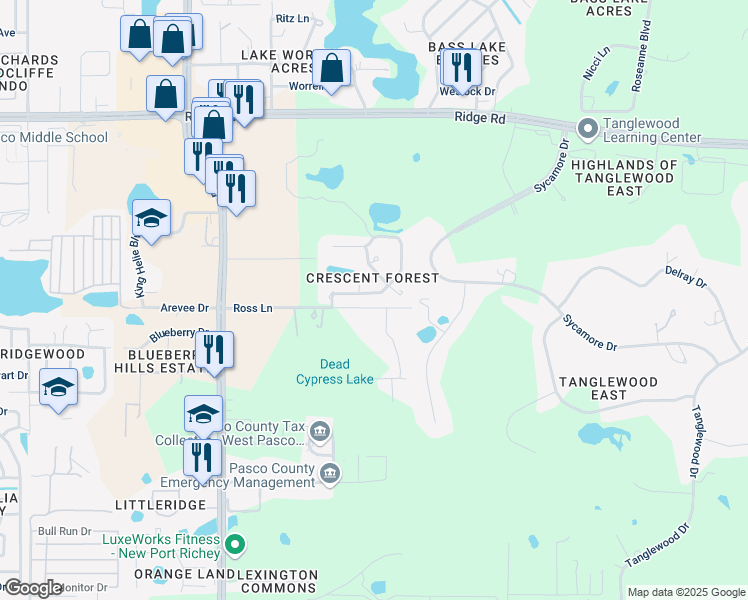 map of restaurants, bars, coffee shops, grocery stores, and more near 8830 Crescent Forest Boulevard in New Port Richey