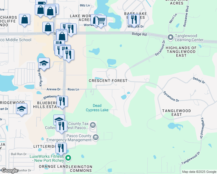 map of restaurants, bars, coffee shops, grocery stores, and more near 8830 Crescent Forest Boulevard in New Port Richey