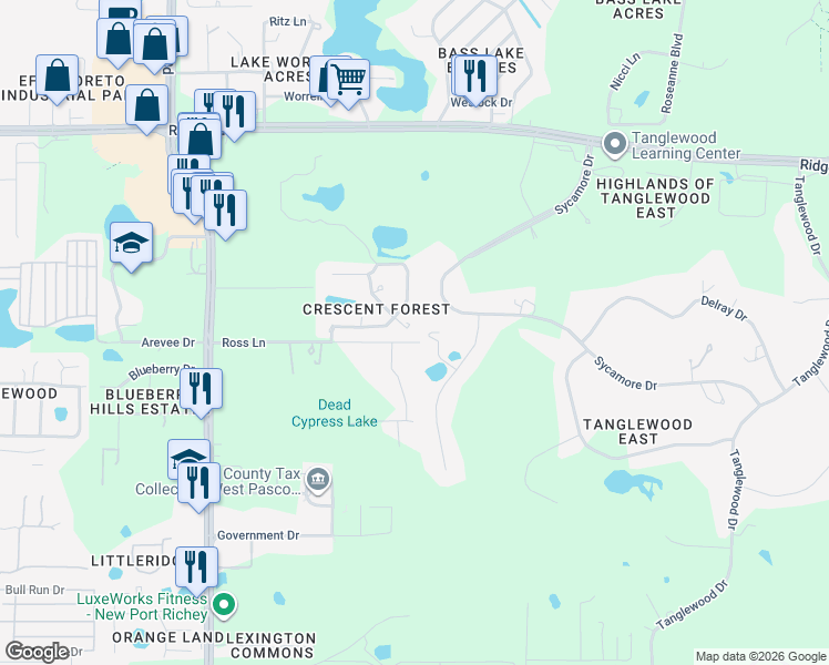 map of restaurants, bars, coffee shops, grocery stores, and more near 8021 Moonlight Lane in New Port Richey