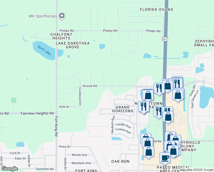 map of restaurants, bars, coffee shops, grocery stores, and more near 37448 Kossik Road in Zephyrhills