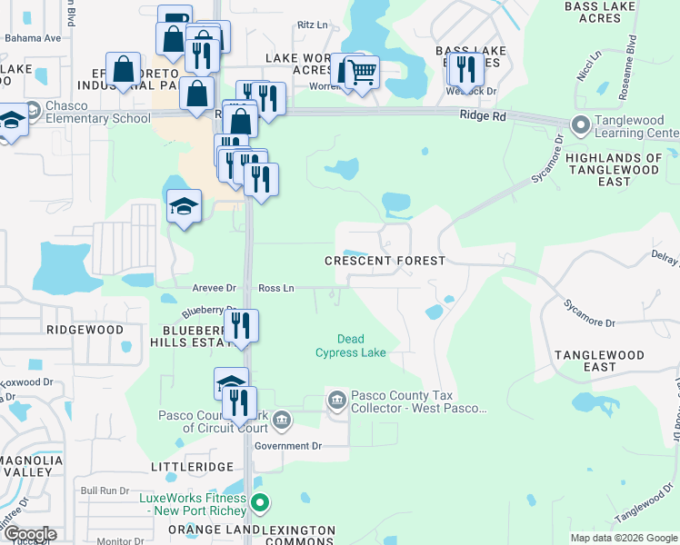 map of restaurants, bars, coffee shops, grocery stores, and more near 8711 Crescent Forest Boulevard in New Port Richey