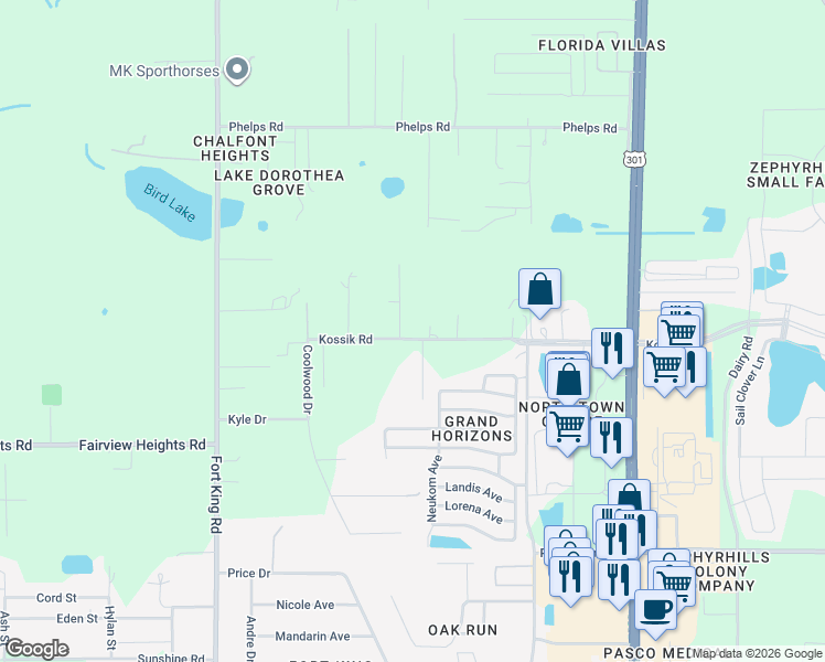 map of restaurants, bars, coffee shops, grocery stores, and more near 37448 Kossik Road in Zephyrhills