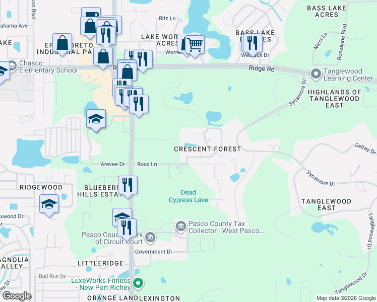 map of restaurants, bars, coffee shops, grocery stores, and more near 8735 Crescent Forest Boulevard in New Port Richey
