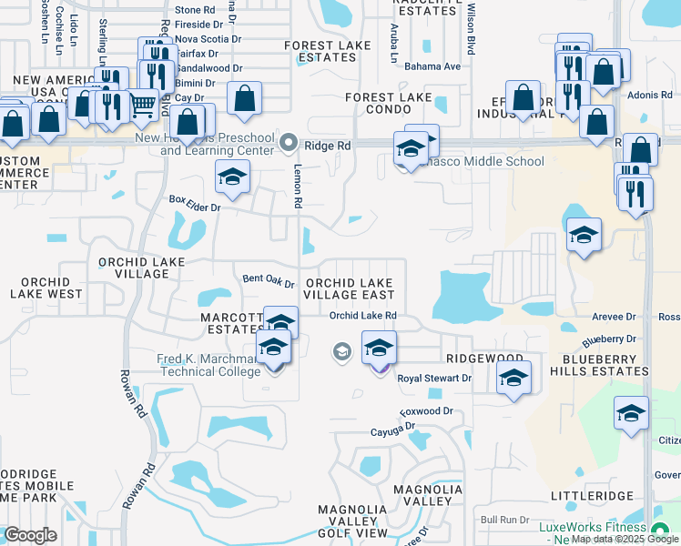 map of restaurants, bars, coffee shops, grocery stores, and more near 8108 Mockernut Lane in Port Richey