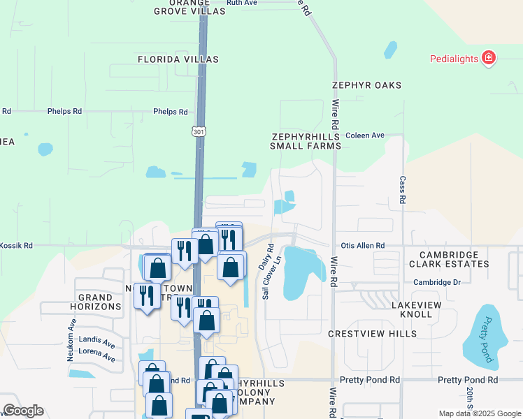 map of restaurants, bars, coffee shops, grocery stores, and more near 38211 Blackbird Lane in Zephyrhills