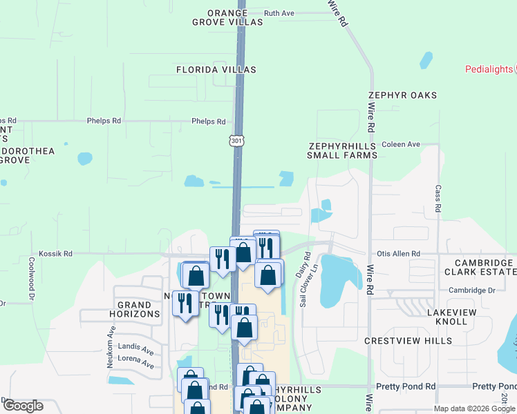 map of restaurants, bars, coffee shops, grocery stores, and more near 38048 Wren Road in Zephyrhills