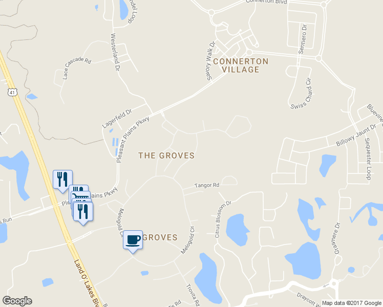 map of restaurants, bars, coffee shops, grocery stores, and more near 8145 Sanguinelli Road in Land O' Lakes