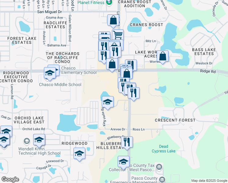 map of restaurants, bars, coffee shops, grocery stores, and more near 8333 Little Road in New Port Richey