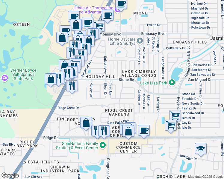 map of restaurants, bars, coffee shops, grocery stores, and more near 8910 Cairo Lane in Port Richey