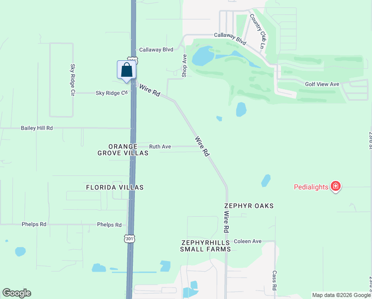 map of restaurants, bars, coffee shops, grocery stores, and more near 38235 Ruth Avenue in Zephyrhills