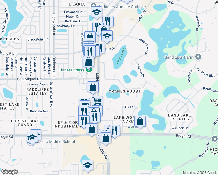 map of restaurants, bars, coffee shops, grocery stores, and more near 8924 Planters Lane in New Port Richey