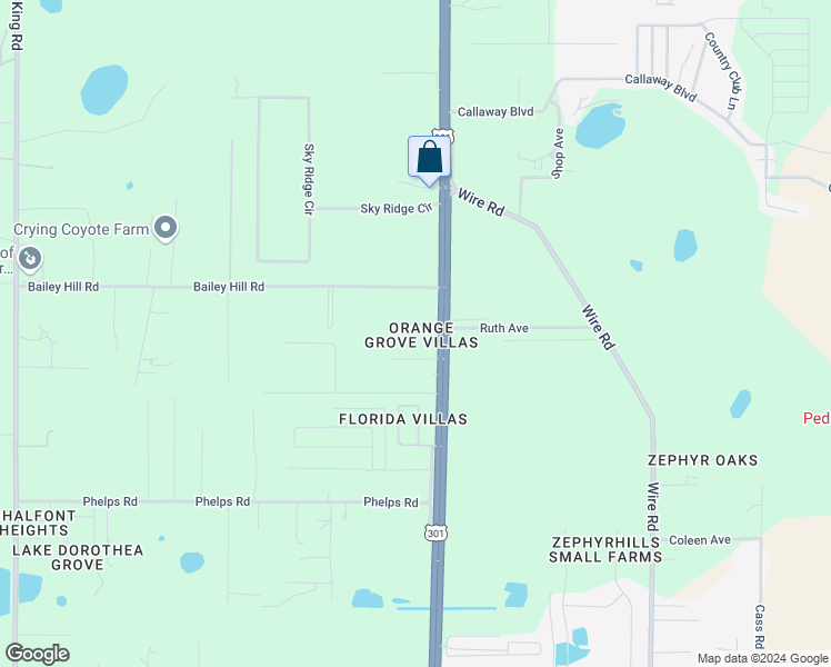 map of restaurants, bars, coffee shops, grocery stores, and more near 37922 Wicklow Avenue in Zephyrhills