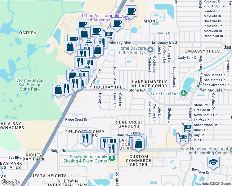 map of restaurants, bars, coffee shops, grocery stores, and more near 8940 Eileen Drive in Port Richey