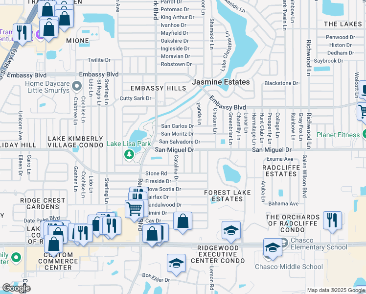 map of restaurants, bars, coffee shops, grocery stores, and more near 7319 San Salvadore Drive in Port Richey