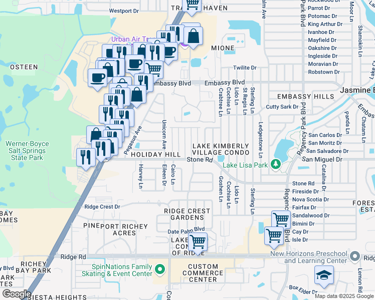map of restaurants, bars, coffee shops, grocery stores, and more near 9036 Shawn Avenue in Port Richey