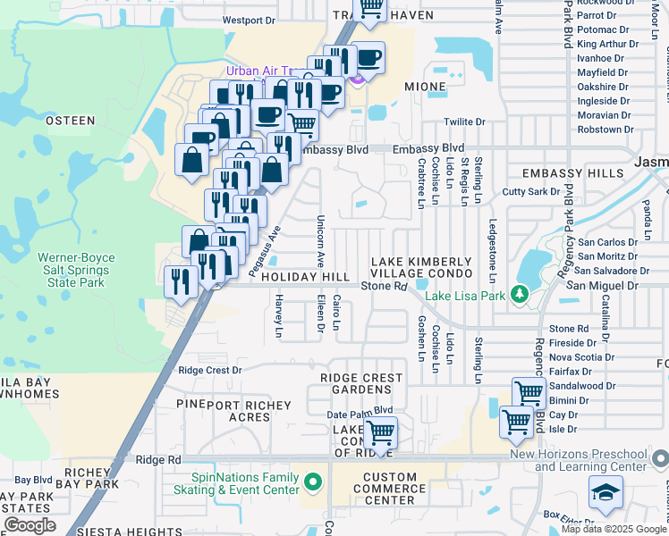 map of restaurants, bars, coffee shops, grocery stores, and more near 9025 Rawlins Avenue in Port Richey