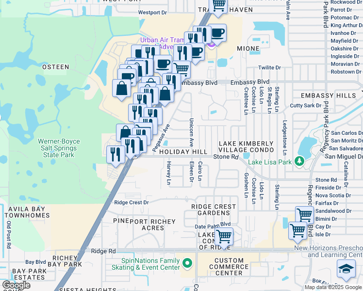 map of restaurants, bars, coffee shops, grocery stores, and more near 6411 Gainsboro Drive in Port Richey