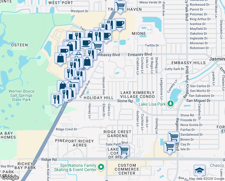 map of restaurants, bars, coffee shops, grocery stores, and more near 9025 Rawlins Avenue in Port Richey
