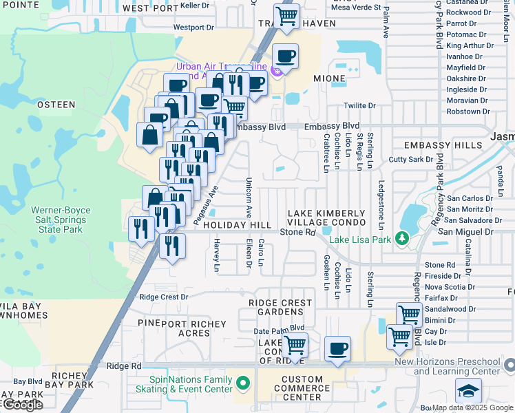 map of restaurants, bars, coffee shops, grocery stores, and more near 9025 Rawlins Avenue in Port Richey