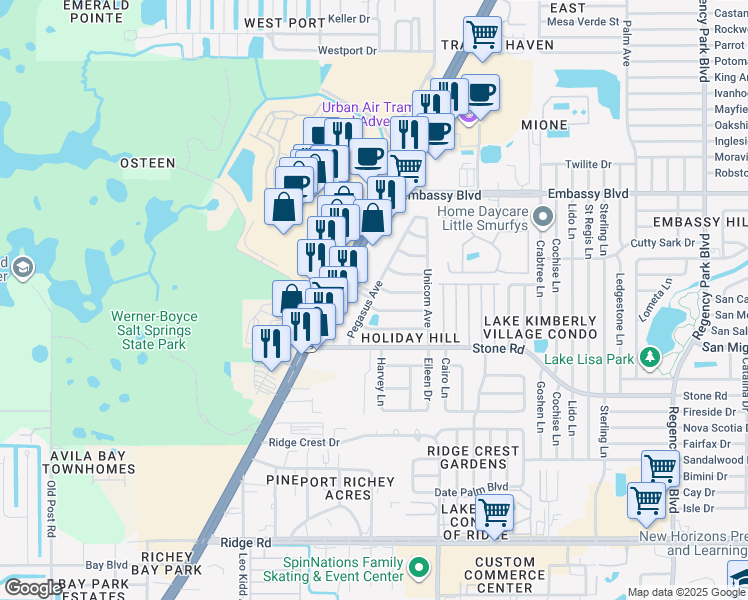 map of restaurants, bars, coffee shops, grocery stores, and more near 9125 Pegasus Avenue in Port Richey