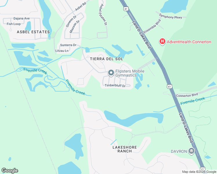 map of restaurants, bars, coffee shops, grocery stores, and more near 19632 Timberbluff Drive in Land O' Lakes