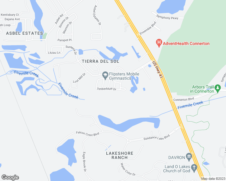 map of restaurants, bars, coffee shops, grocery stores, and more near 19730 Timberbluff Drive in Land O' Lakes