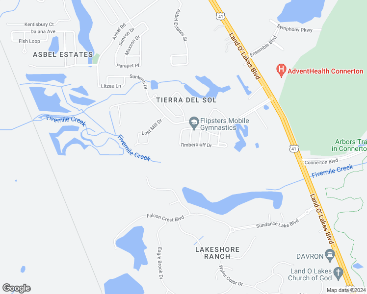 map of restaurants, bars, coffee shops, grocery stores, and more near 19632 Timberbluff Drive in Land O' Lakes