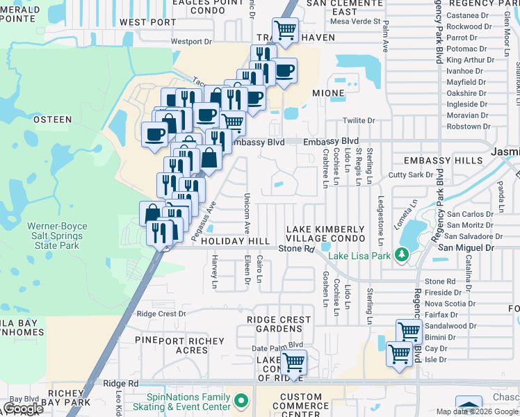 map of restaurants, bars, coffee shops, grocery stores, and more near 9117 Rawlins Avenue in Port Richey