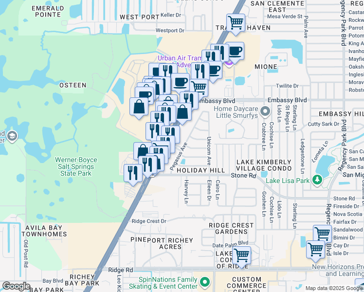 map of restaurants, bars, coffee shops, grocery stores, and more near 9125 Pegasus Avenue in Port Richey