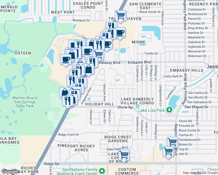 map of restaurants, bars, coffee shops, grocery stores, and more near 9117 Rawlins Avenue in Port Richey