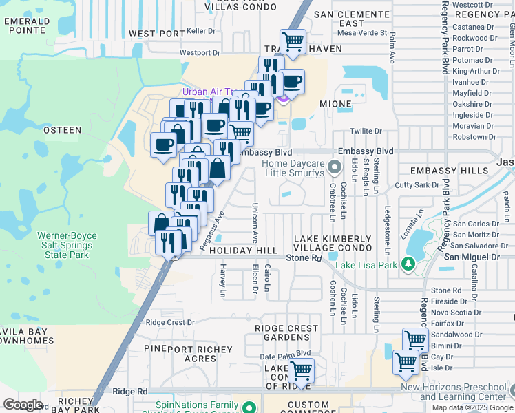 map of restaurants, bars, coffee shops, grocery stores, and more near 9140 Unicorn Avenue in Port Richey