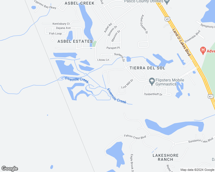 map of restaurants, bars, coffee shops, grocery stores, and more near 9151 Seeger Lane in Land O' Lakes