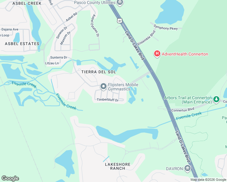 map of restaurants, bars, coffee shops, grocery stores, and more near 19406 Timberbluff Drive in Land O' Lakes