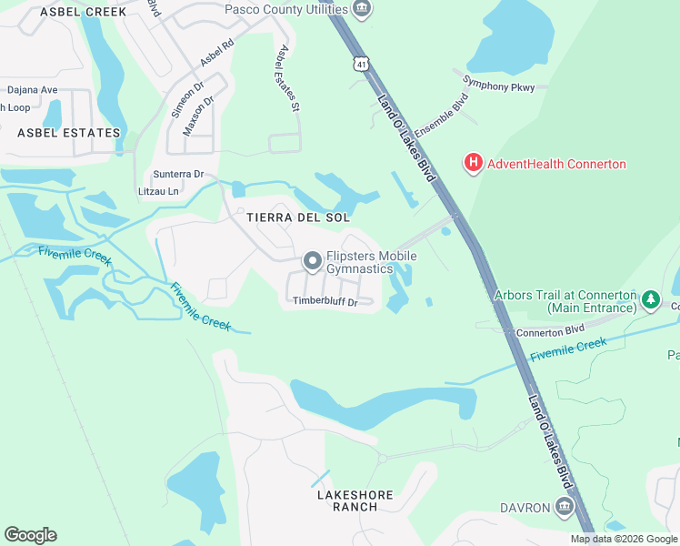 map of restaurants, bars, coffee shops, grocery stores, and more near 19412 Timberbluff Drive in Land O' Lakes