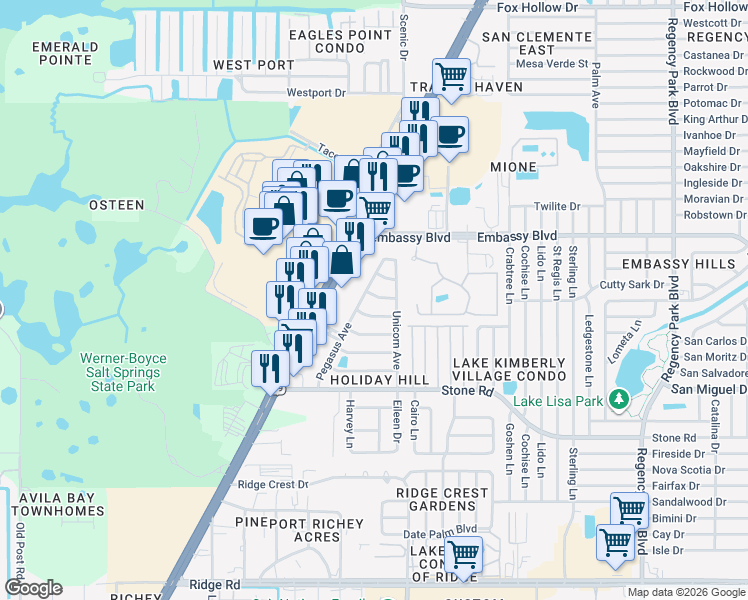 map of restaurants, bars, coffee shops, grocery stores, and more near 6410 Pensive Drive in Port Richey