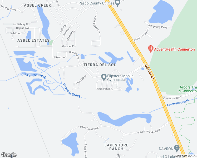 map of restaurants, bars, coffee shops, grocery stores, and more near 19534 Timberbluff Drive in Land O' Lakes