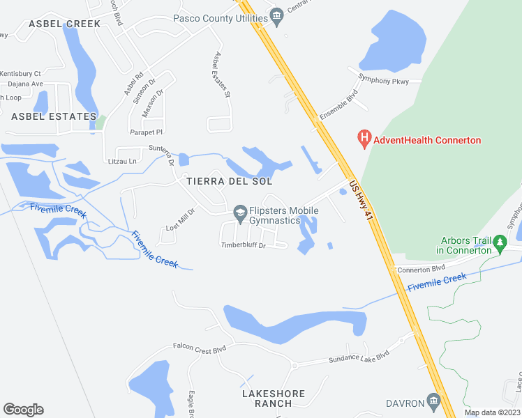 map of restaurants, bars, coffee shops, grocery stores, and more near 9346 Black Thorn Loop in Land O' Lakes