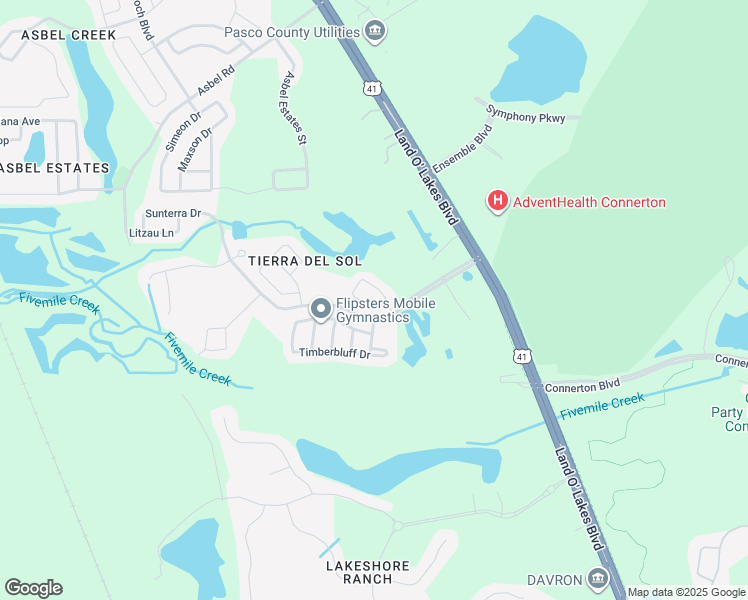 map of restaurants, bars, coffee shops, grocery stores, and more near 9418 Black Thorn Loop in Land O' Lakes