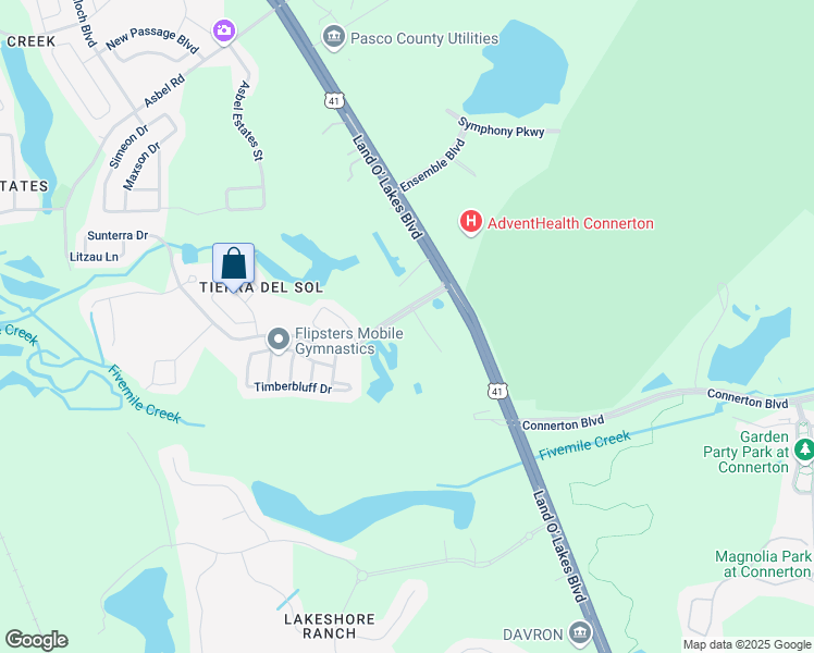 map of restaurants, bars, coffee shops, grocery stores, and more near 9281 Feldman Drive in Land O' Lakes