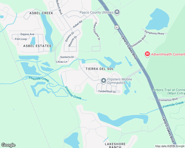 map of restaurants, bars, coffee shops, grocery stores, and more near 9310 Wellstone Drive in Land O' Lakes