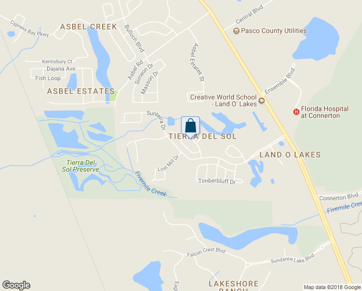 map of restaurants, bars, coffee shops, grocery stores, and more near 9325 Wellstone Drive in Land O' Lakes
