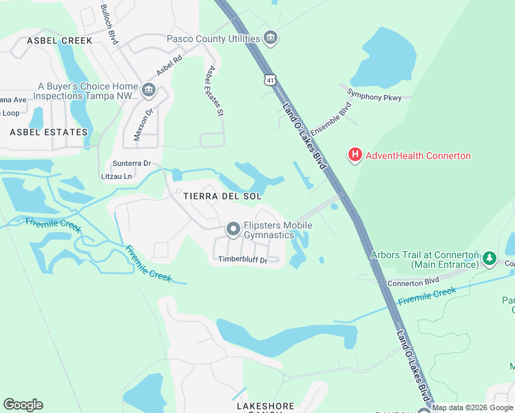 map of restaurants, bars, coffee shops, grocery stores, and more near 9306 Black Thorn Loop in Land O' Lakes