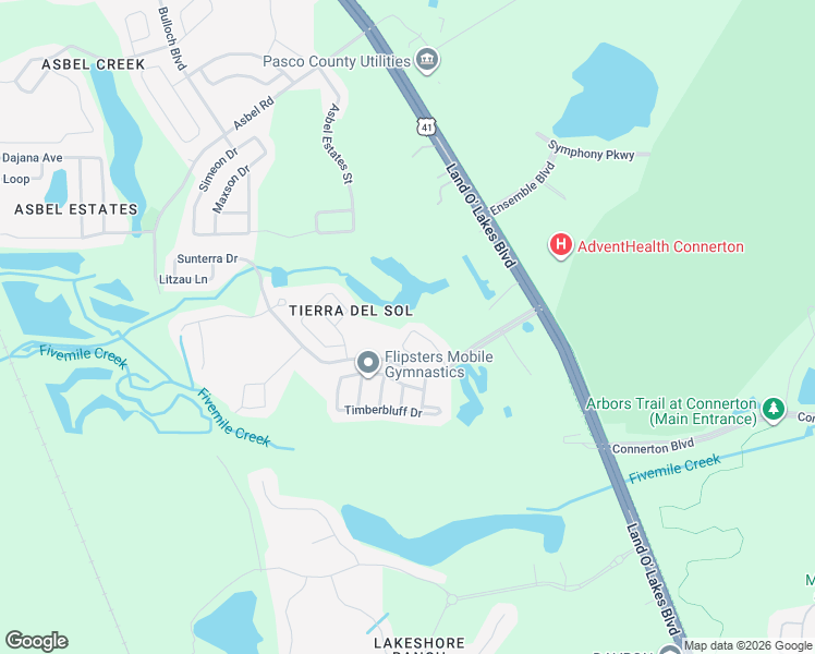 map of restaurants, bars, coffee shops, grocery stores, and more near 9314 Black Thorn Loop in Land O' Lakes